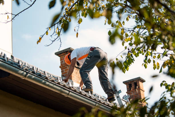 Best Sealant for Roof  in Claremont, CA
